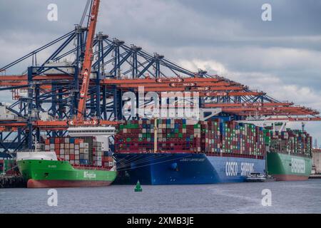 Euromax Container Terminal, BG Green Container Feedership, Containerfrachter Cosco Shipping Universe, vorne und immer genial, Evergreen Reederei Stockfoto