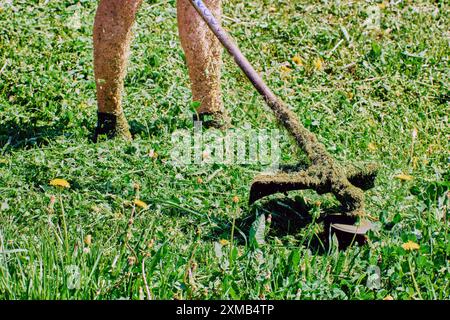 Rasenpflege-Experte zielt darauf ab, den Kopf des Fadenschneiders auf Unkraut zu drehen. Stockfoto