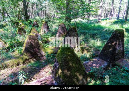 Überreste des ehemaligen Westwalls, Panzerabwehrbarrieren, an der Grenze zu Belgien, in einem Wald bei Miescheid, Nordrhein-Westfalen Stockfoto