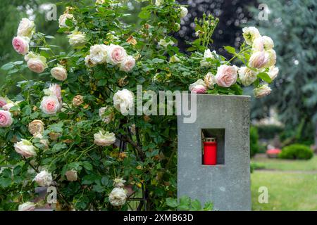 Friedhof, Familiengrab, moderner Grabstein, mit Blume und Grablicht, Nordrhein-Westfalen, Deutschland Stockfoto