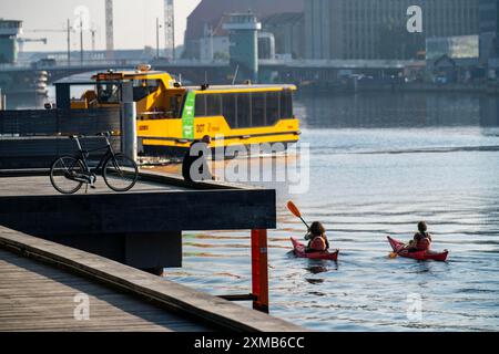 Wasserbus, Kajaks im Hafen von Kopenhagen, Dänemark Stockfoto