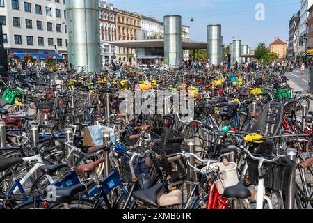 Fahrradparkplatz, U-Bahn-Station Norreport, im Stadtzentrum von Kopenhagen, gilt als Fahrradhauptstadt der Welt, 45 % der Einwohner Stockfoto