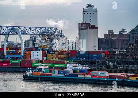 Containerfrachtschiff auf dem Rhein bei Krefeld, Rheinhafen Krefeld, Containerterminal, Maisstärkefabrik Cargill Nordrhein-Westfalen, Deutschland Stockfoto