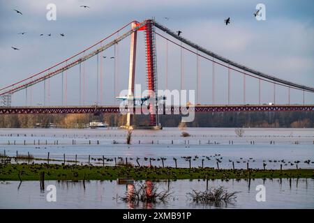 Hochwasser am Rhein, überflutete Rheinwiesen, Felder, Rheinbrücke Emmerich, Straßenbrücke der B220, Niederrhein, hier bei Emmerich, Norden Stockfoto