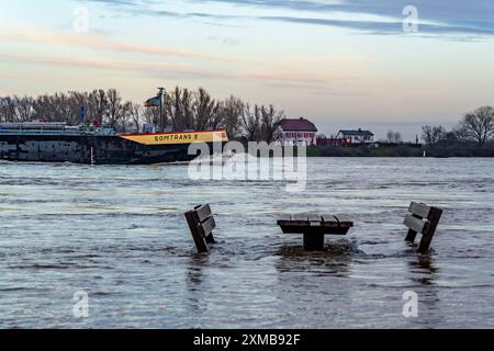 Hochwasser am Rhein, überflutete Rheinufer, alte Fähranlegestelle, Rheinwiesen, bei Xanten, Bislicher Insel, Niederrhein, Nord Stockfoto