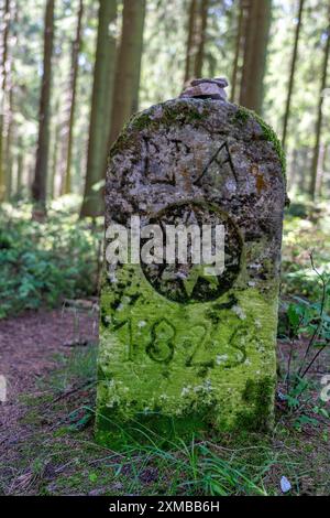 Wald, Landschaft auf dem Langenberg, bei Niedersfeld, im Landkreis Hochsauerland, höchster Berg Nordrhein-Westfalens, alter Grenzstein Stockfoto