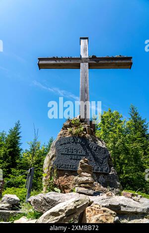 Wald, Landschaft auf dem Langenberg, bei Niedersfeld, im Landkreis Hochsauerland, höchster Berg Nordrhein-Westfalens, Gipfelkreuz, 843 Stockfoto