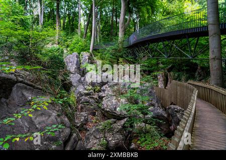 Das Felsenmeer in Hemer, Sauerland, Geotope, mit schroffen Felsformationen, Naturschutzgebiet, Nordrhein-Westfalen, Deutschland Stockfoto