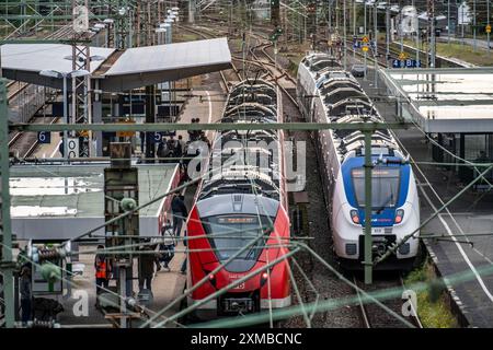 S-Bahn-Station Wuppertal-Elberfeld, Bahnsteige, Nahverkehrsbahn, Wuppertal, Nordrhein-Westfalen, Deutschland Stockfoto