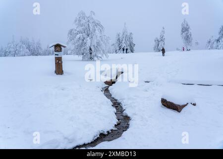 Quelle der Lenne, Winter im Sauerland, Hochsauerlandkreis, bei Kahler Asten, bei Winterberg, wenige Touristen, Besucher, während der Abriegelung Stockfoto