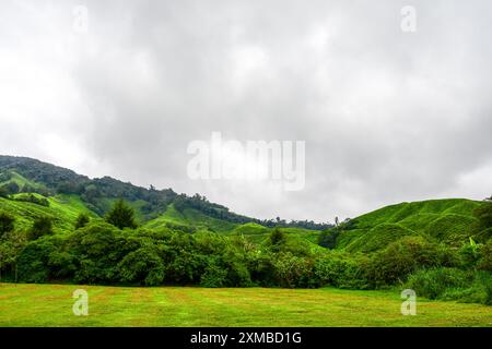 Die Aussicht von der BOH Tea Plantation in Cameron Highlands, Malaysia Stockfoto