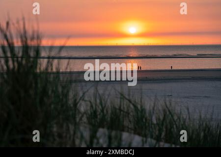 Nordseeinsel Langeoog, Frühsommer, Strand, Dünenlandschaft, Sonnenuntergang, Niedersachsen, Deutschland Stockfoto