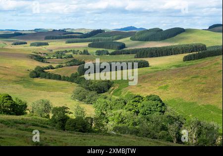 Blick auf das Allan Water Valley in der Nähe der Skelfhill Farm, Hawick Scottish Borders. UK Stockfoto