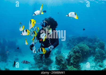 Diver (MR) und eine Schule pazifischer Schmetterlingsfische mit Doppelsatteln, Chaetodon ulietensis, vor der Insel Guam, Mikronesien, Marianen, Pazifik OCE Stockfoto