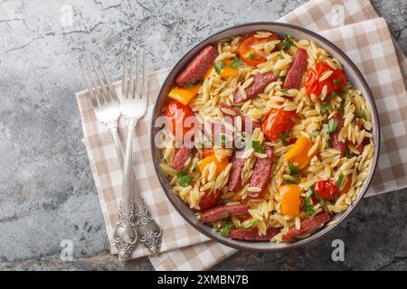 Herzhafter italienischer Risoni-Nudelsalat mit Salami, Paprika, Knoblauch, Tomaten und Kräutern in einer Schüssel auf einem Tisch. Horizontale Draufsicht von oben Stockfoto