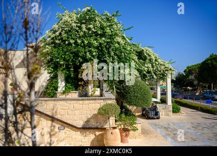 Das luxuriöse Aphrodite Hills Hotel and Resort Gebäude mit wunderschönen Gärten, einem großen Pool und einem eleganten Haus, Paphos auf Zypern Stockfoto