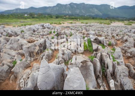 Erodierte Felsformationen am Rande der Klippen von Bufones de Pria, Llames, Asturien, Spanien Stockfoto