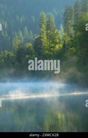 Sanfter Nebel gleitet über smaragdgrüne Gewässer eines Bergsees in den Schweizer Alpen, beleuchtet von sanftem Morgenlicht. Hintergrundbeleuchtete Tannenbäume verbessern die Stimmung. Stockfoto