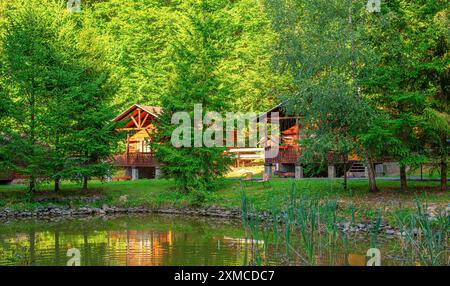 Holzhäuser im Wald. Stockfoto