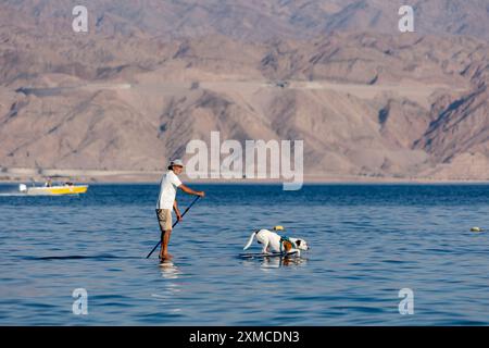 Senior Mann mit Hund reitet auf einem SUP-Board auf offener See. Atemberaubende Landschaft. Malerische Aussicht. Aktiver Lebensstil. Sonnenuntergang Stockfoto