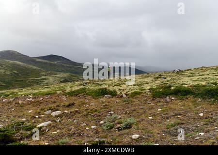 Ein Mann in bunten Kleidern und Rucksack, von hinten gesehen, während er in Dovrefjell, Norwegen, wandert. Stockfoto