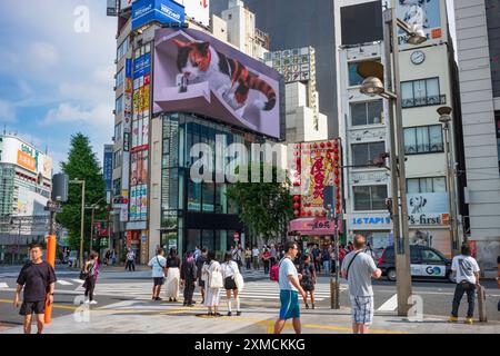Tokio, Japan, 14. Juni 2024: Eine gigantische 3D-Katze erwacht auf einem 1.664 Quadratmeter großen, geschwungenen LED-Display mit 4K-Auflösung in der Nähe der geschäftigsten Eisenbahn der Stadt zum Leben Stockfoto