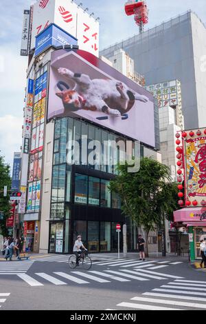 Tokio, Japan, 14. Juni 2024: Eine gigantische 3D-Katze erwacht auf einem 1.664 Quadratmeter großen, geschwungenen LED-Display mit 4K-Auflösung in der Nähe der geschäftigsten Eisenbahn der Stadt zum Leben Stockfoto
