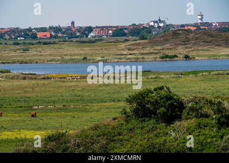 Nordseeinsel Langeoog, Frühsommer, Dünenlandschaft im Zentrum der Insel, Blick vom Melkhoernduene, auf das Dorf Langeoog Stockfoto