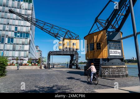 Rheinauenhafen, Hafenkran der Alte Herkules, Köln-Süd, Wohn- und Bürotürme, Köln, Nordrhein-Westfalen, Deutschland Stockfoto