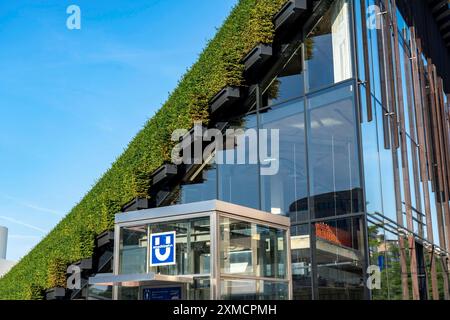 Größte grüne Fassade Europas, am Koe-Bogen II, Gebäude-, Einkaufs- und Bürogebäude am Gustav-Gruendgens-Platz, 8 Kilometer Hainbuche Stockfoto