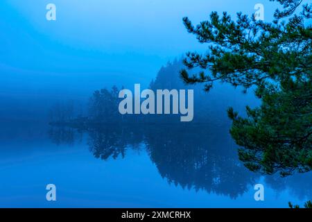 Rursee in der Eifel, Stausee, Obersee, im Winter Nebel, in der Nähe von Heimbach, Nordrhein-Westfalen, Deutschland Stockfoto