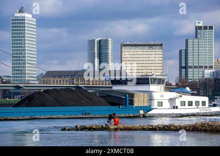 Der Rhein bei Düsseldorf, Frachtschiff, Kohlefrachter, Skyline, Rheinkniebrücke, Nordrhein-Westfalen, Deutschland Stockfoto