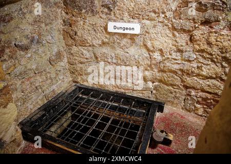 Caldicott Castle sonnt sich in der walisischen Sommersonne Stockfoto