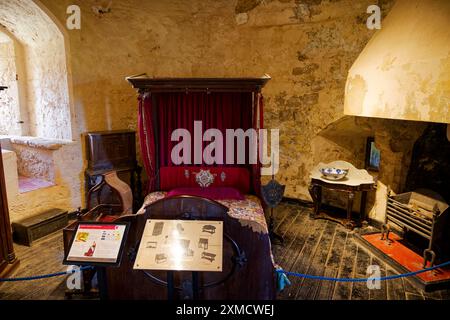 Caldicott Castle sonnt sich in der walisischen Sommersonne Stockfoto