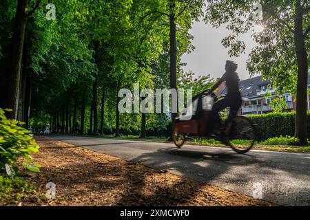 Promenade Radweg, baumgesäumt, autofrei, rund 4,5 km lange Ringstraße rund um das Stadtzentrum von Münster, Nordrhein-Westfalen Stockfoto