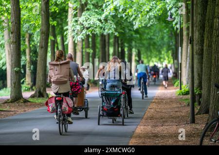 Promenade Radweg, baumgesäumt, autofrei, rund 4,5 km lange Ringstraße rund um das Stadtzentrum von Münster, Nordrhein-Westfalen Stockfoto