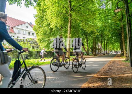 Promenade Radweg, baumgesäumt, autofrei, rund 4,5 km lange Ringstraße rund um das Stadtzentrum von Münster, Nordrhein-Westfalen Stockfoto