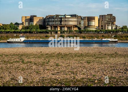 Rhein bei Düsseldorf, extrem Niedrigwasser, Rheinhöhe bei 81 cm, fallend, nach langer Dürre ist das linke Rheinufer trocken, bei Düsseldorf Stockfoto