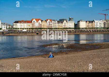 Rhein bei Düsseldorf, extrem Niedrigwasser, Rheinhöhe bei 81 cm, fallend, nach langer Dürre ist das linke Rheinufer trocken, bei Düsseldorf Stockfoto