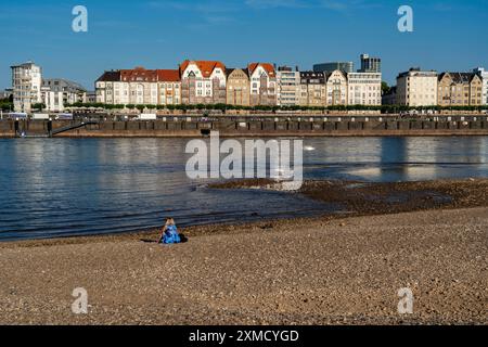 Rhein bei Düsseldorf, extrem Niedrigwasser, Rheinhöhe bei 81 cm, fallend, nach langer Dürre ist das linke Rheinufer trocken, bei Düsseldorf Stockfoto