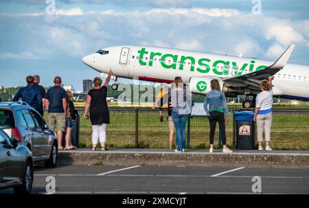 Flughafen Amsterdam Shiphol, Polderbaan, eine von 6 Start- und Landebahnen, Spoter Area, sehen Sie Flugzeuge aus nächster Nähe, PH-HXN, Transavia Boeing 737-800Schiphol Stockfoto