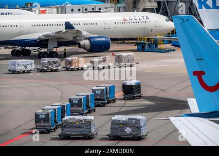 Flughafen Amsterdam Schiphol, Flugzeug am Terminal, Gates D, Check-in, Vorfeld, Verladung von Luftfracht, Gepäck, Amsterdam, Niederlande Stockfoto