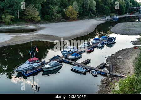 Der Rhein bei extrem niedrigem Wasser, bei Bad Honnef Rhoendorf, unterhalb des Drachenfels, Steg im Alten Rheinarm, auf der Insel Grafenwerth, trocken Stockfoto