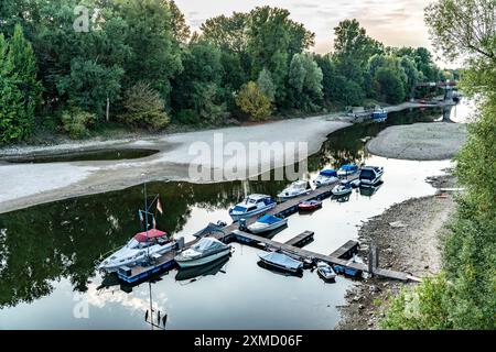 Der Rhein bei extrem niedrigem Wasser, bei Bad Honnef Rhoendorf, unterhalb des Drachenfels, Steg im Alten Rheinarm, auf der Insel Grafenwerth, trocken Stockfoto