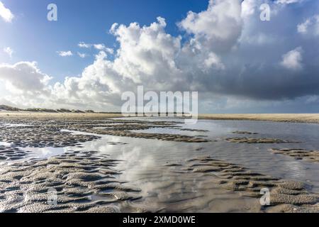 Nordsee, Insel Spiekeroog, Herbst, im Osten der Insel, Wattenmeer bei Ebbe, Ostfriesische Inseln, Niedersachsen, Deutschland Stockfoto