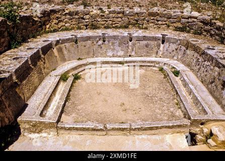 Tunesien, Dougga.  Römische Ruinen.  Zwölf Latrinen in einem Halbkreis. Stockfoto