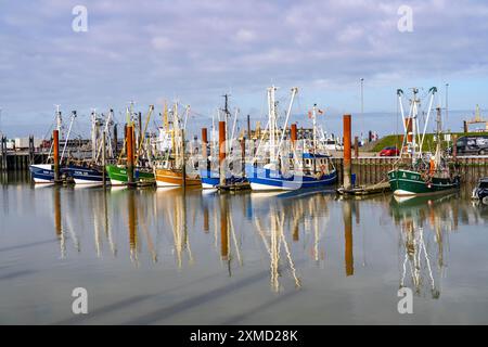 Fischerboote, Garnelenboote im Hafen von Norddeich, Niedersachsen, Deutschland Stockfoto