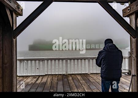 Dicker Nebel im Winter, der über der Mündung der Elbe in die Nordsee hängt, Containerschiff Ever Arm, von der Elbe nach Rotterdam, Aussichtspunkt Alte Stockfoto