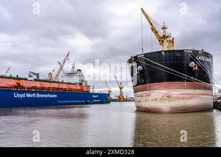 Lloyd Werft, Trockendock, Frachter Atlantic Journey, Werft im Überseehafen Bremerhaven, Bremen, Deutschland Stockfoto