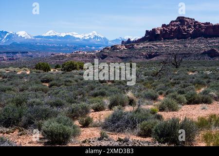 Panoramablick vom Panorama Point Overlook im Arches National Park - Moab, Utah, USA Stockfoto